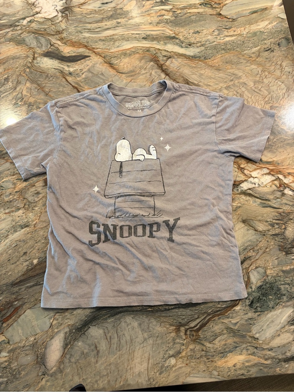 Peanuts Snoopy Short Sleeve Tee in Light-Gray